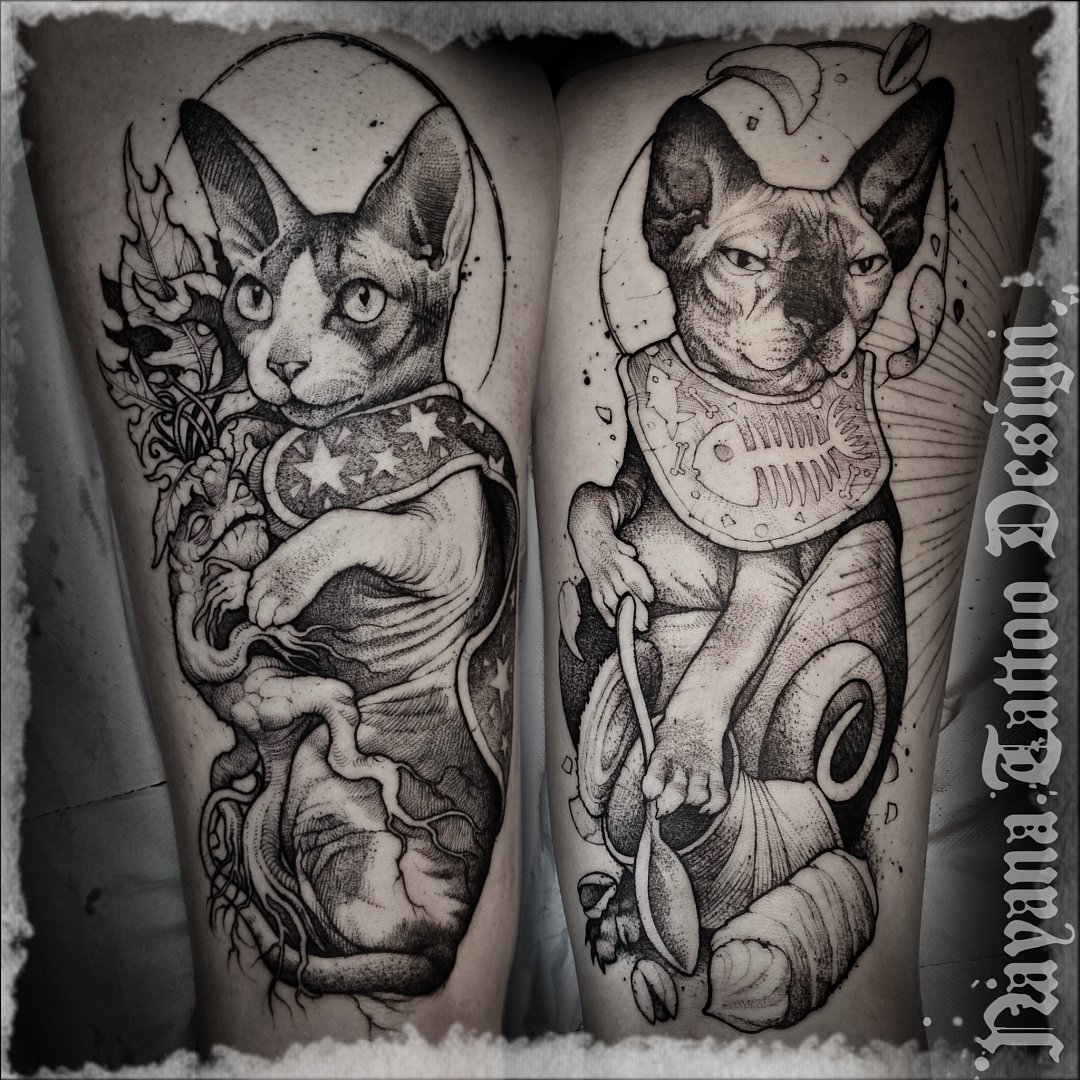 Portrait of two kitties